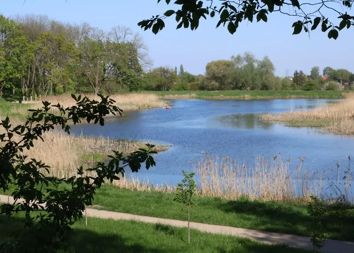 Apartament Kamienna *